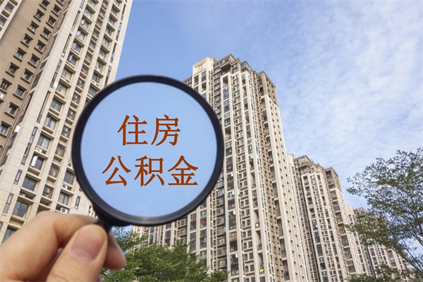 宁波成都离职公积金代办（成都离职公积金代办电话）